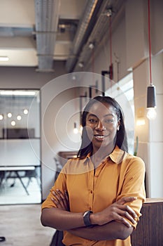 Head And Shoulders Portrait Of Smiling Young Businesswoman  Working In Modern Office