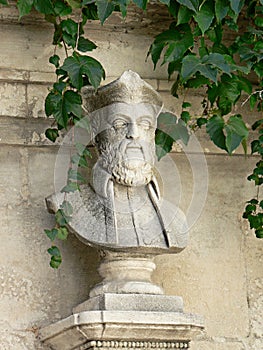 Head and shoulders of statue with ivy, copy space, Arles, France