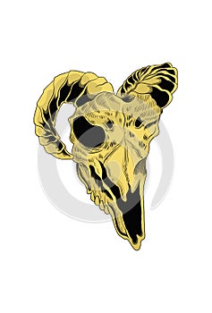 Head skull goat with yellow color