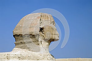 Head of Sphinx