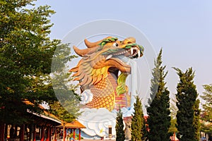 Head statue dragon in shrine park, Suphan Buri, su