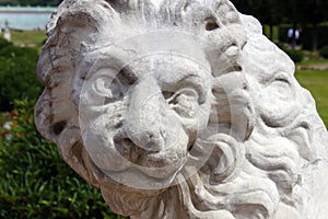 Head of stone lion