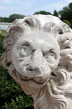 Head of stone lion