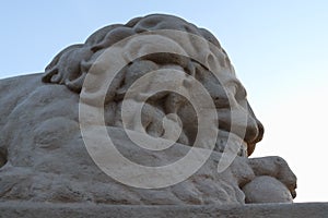 Head of stone lion