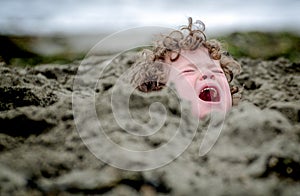 Head Stuck in the Sand, Sometimes an Idiom photo