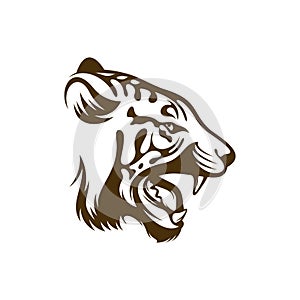 Head Tiger vector illustration design. Head Tiger logo design Template