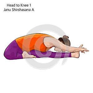 Head to Knee 1 pose. Janu Shirshasana A