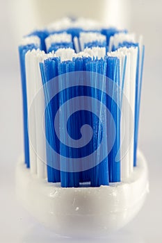 Head toothbrush close up front view