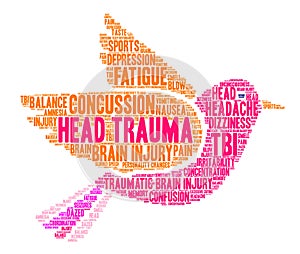 Head Trauma Word Cloud