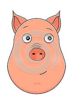 Head of trusting pig in cartoon style. Kawaii animal.