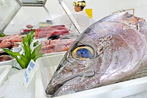 Head of a Tuna fish for sale in a fishermen food market