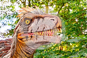 Head of the Utharaptor dinosaur