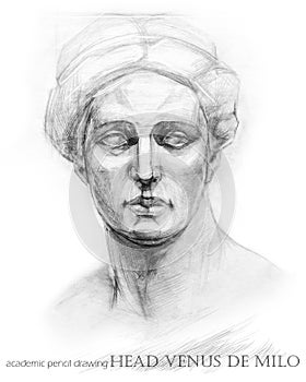 Head Venus de Milo. academic pencil drawing