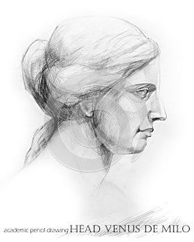 Head Venus de Milo. academic pencil drawing