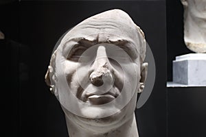 Head of Vespasian In Graeco roman museum