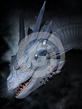 Head of white dragon