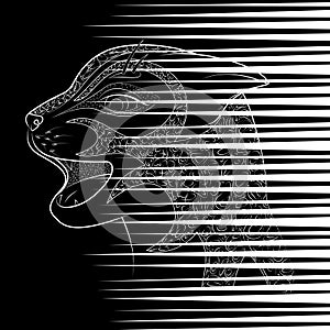 The head of a wild cat. Zen Tangle scratch from animal claws. Black and white color coloring book for adults.