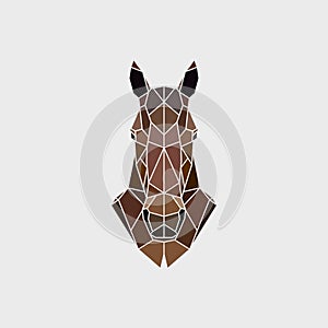 The head of a wild horse mustang in a manner of polygonal graphics.