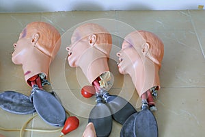 Head and windpipe dummy for CPR medical refresher training photo