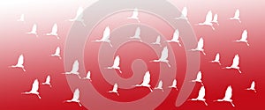 Header Background Birds Eurasian Spoonbills on Red Gradient Background