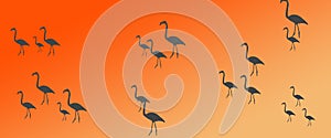 Header Background Birds  Flamingo Group Flock Silhouette