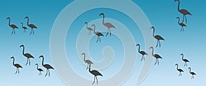 Header Background Birds  Flamingo Group Flock Silhouette