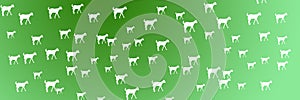 Header Background Domestic Animals Goat Farming