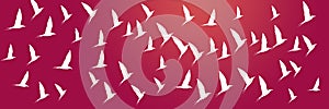 Header Background Flying Birds River Tern