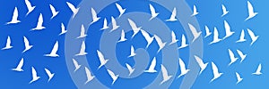 Header Background Flying Birds River Tern