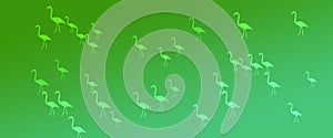 Header Background Green  Gradient Flamingo Birds Pattern