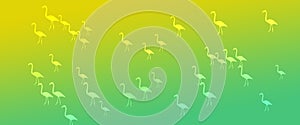 Header Background Green Gradient Flamingo Birds Pattern