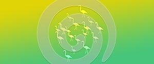 Header Background  Green Yellow Gradient  Flamingo Birds Pattern