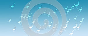 Header Background Light Turquoise Flamingo Birds Pattern