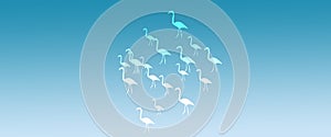Header Background  Light Turquoise  Gradient  Flamingo Birds Pattern