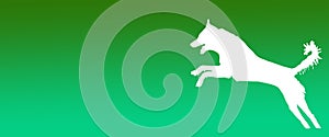 Header Background Pet Dog Jumping on Green Gradient Background