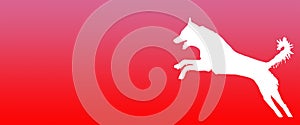Header Background Pet Dog Jumping on Red Pink  Gradient Background
