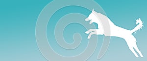 Header Background Pet Dog Jumping on Turquoise  Gradient Background