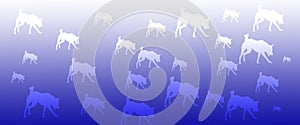 Header Background Pet Dogs Pattern on Blue Gradient Background