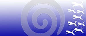Header Background Pet Dogs Pattern on Blue Gradient Background