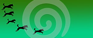 Header Background Pet Dogs Pattern on Green Gradient Background