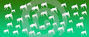 Header Background Pet Dogs Pattern on Green Gradient Background