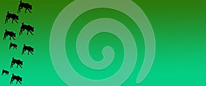 Header Background Pet Dogs Pattern on Green Gradient Background