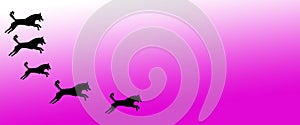 Header Background Pet Dogs Pattern on Magenta  Gradient Background