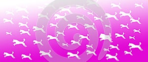 Header Background Pet Dogs Pattern on Magenta Gradient Background