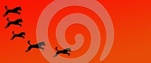 Header Background Pet Dogs Pattern on Orange  Gradient Background