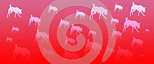 Header Background Pet Dogs Pattern on Red Gradient Background