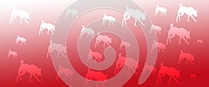 Header Background Pet Dogs Pattern on Red   Gradient Background