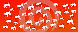 Header Background Pet Dogs Pattern on Red  Gradient Background