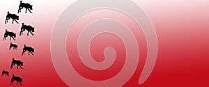 Header Background Pet Dogs Pattern on Red  Gradient Background