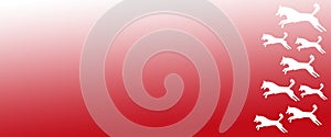 Header Background Pet Dogs Pattern on Red Gradient Background